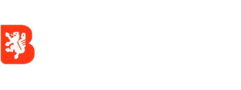 Stadt Braunschweig Logo als Referenzkunde der 1000hands AG.